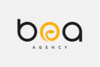 "BOA Agency"-nin vəziyyəti - MƏLUM OLDU - HESABAT