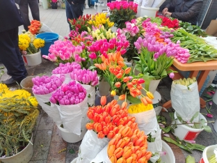 Qızılgül, tülpan, nərgizgülü və …”Teddi”lər – [red]BAKIDA 8 MART HƏDİYYƏLƏRİ [/red] | FED.az