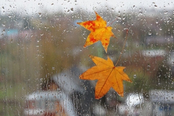 Bəzi yerlərdə çiskin olacaq - SABAHIN HAVA PROQNOZU