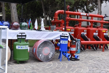 Şəmkirdə
