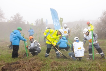 Daşkəsəndə silsilə ağacəkmə aksiyaları keçirilib - FOTOLAR | FED.az