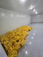 Xırdalanda 2 min toyuğun qanunsuz kəsildiyi sex bağlandı - FOTOLAR | FED.az