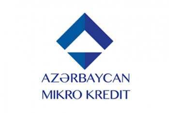 “Azərbaycan Mikro-Kredit” BOKT-nun vəziyyəti məlum oldu - HESABAT