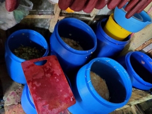 Bakıda satılan dana əti basdırmasında at DNT-si çıxdı - FOTOLAR | FED.az