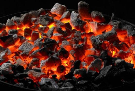 Kabab kömürünə qarşı reyd başladı