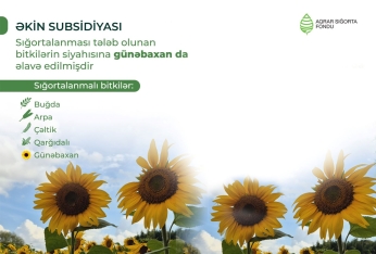 Azərbaycanda fermerlər üçün sığorta qaydaları dəyişdi – [red]3 MÜHÜM YENİLİK[/red] | FED.az