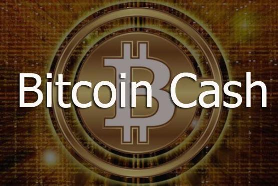 Bitcoin Cash sürətlə bahalaşır – QİYMƏT