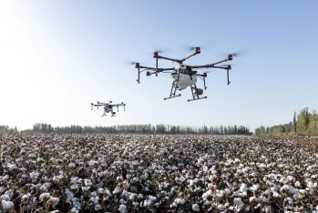 Prime Cotton beynəlxalq sertifikatlarla mövqeyini gücləndirərək, 30 illik yubileyinə inamla qədəm qoyur