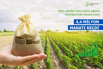 Əkin sahələri üzrə sığorta ödənişlərində rekord artım – 4,4 MİLYON MANATI KEÇDİ