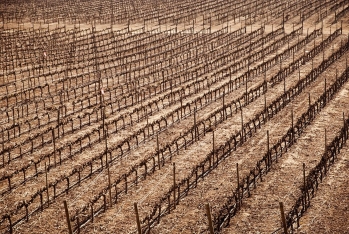 Impacts of drought in Azerbaijan: How does it harm the country? How can it be prevented? What is the international experience? – IMPORTANT STUDY FROM YOUNG RESEARCHERS | FED.az