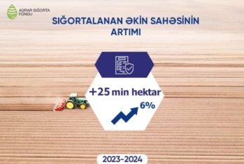 Sığortalanan əkinlərin sahəsində 6% artım qeydə alınıb