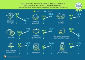 Elektrik enerjisi 1-ci, mahlıc 2-ci, meşə fındığı 3-cü olub - İXRAC İCMALI | FED.az