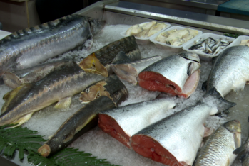 Xaricdən kiloqramı 2 manata alınan balıq niyə 35 manata satılır? - VİDEO