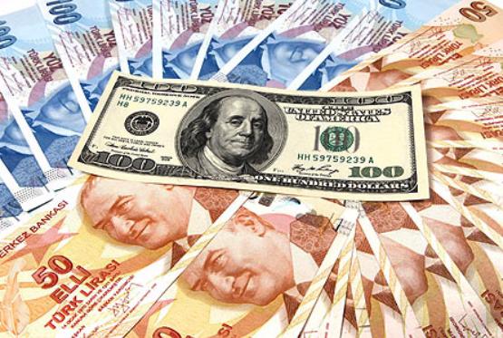 Dollar/TL - də yeni rekord