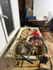 Xırdalanda 2 min toyuğun qanunsuz kəsildiyi sex bağlandı - FOTOLAR | FED.az