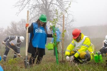 Daşkəsəndə silsilə ağacəkmə aksiyaları keçirilib - FOTOLAR | FED.az