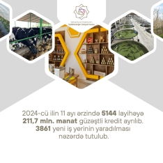 11 ayda 212 milyon manata yaxın güzəştli kredit verilib | FED.az