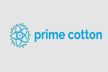 "Prime Cotton" işçi axtarır - VAKANSİYA