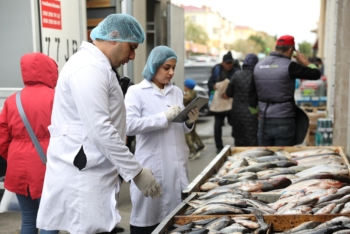 Küçə və yol kənarlarında qida məhsullarının qanunsuz satışı ilə mübarizə tədbirləri genişləndirilib - FOTOLAR | FED.az