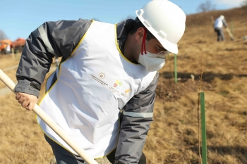 “AzerGold” QSC-nin “Çovdar” mədənində - Ağacəkmə Aksiyası Keçirilib | FED.az