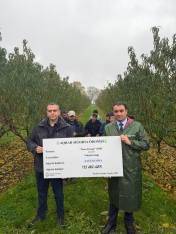 Nektarin və badam bağlarına dəymiş zərər üzrə təqribən 1 milyon manat sığorta ödənişi edilib | FED.az