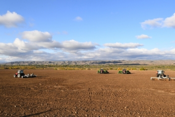 "Dost Agropark" işçilər axtarır - VAKANSİYALAR