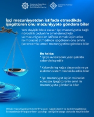 İşçi məzuniyyətdən istifadə etmədikdə işəgötürən onu məzuniyyətə göndərə bilər | FED.az