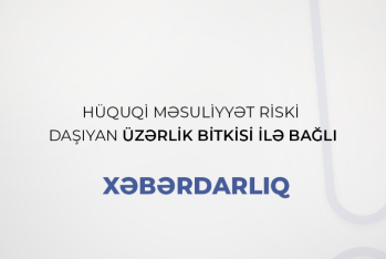 Hüquqi məsuliyyət riski daşıyan üzərlik bitkisi ilə bağlı - XƏBƏRDARLIQ