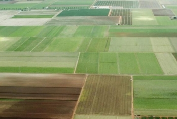 9720 ha torpaq sahəsinin qanunsuz ayrılmasına dair bələdiyyə aktları ləğv edilib