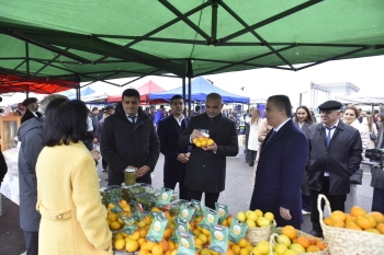 Lənkəran və Lerikdə Aqrar Biznes Festivalları keçirilib | FED.az