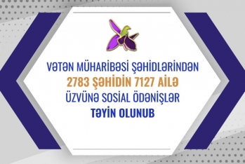 2783 şəhidin ailə üzvünə sosial ödənişlər təyin olunub