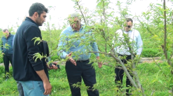 Aqrar Sığorta Fondunun rəhbərliyi təbiət hadisələrindən zərər dəymiş təsərrüfatlarda olub | FED.az
