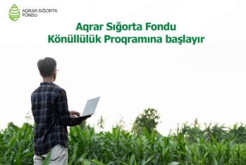 Aqrar Sığorta Fondu tələbə və məzunlar üçün Könüllülük Proqramına başlayır