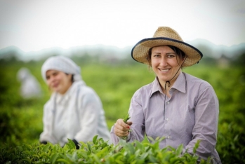 Azərbaycanda qadın fermerlərin sayı açıqlanıb