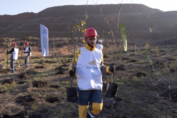 “AzerGold” QSC tərəfindən “Zəfər Günü” münasibətilə Göygöl və Daşkəsən rayonlarında ağacəkmə aksiyaları təşkil edilib | FED.az