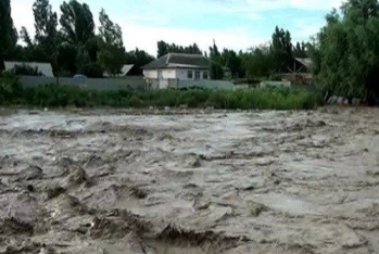 Güclü yağışlar, dolu və sel-subasma halları səbəbindən – Aqrar Sığorta Fonduna müraciətlər kəskin artıb