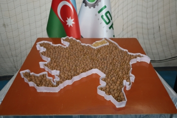 Qusarda Aqrar Biznes Festivalı və toxum sərgi-satış yarmarkası keçirilib - FOTOLAR | FED.az