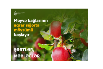Azərbaycanda meyvə bağlarının aqrar sığortası mövsümü başlayır – ŞƏRTLƏR, MƏBLƏĞLƏR | FED.az