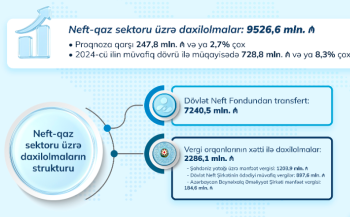 Altı ayda neft-qaz sektorundan büdcəyə nə qədər pul daxil olub? - RƏQƏMLƏR | FED.az