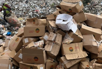 "GFC" MMC-nin İordaniyadan gətirdiyi pendirdə zərərli bakteriyalar aşkarlandı