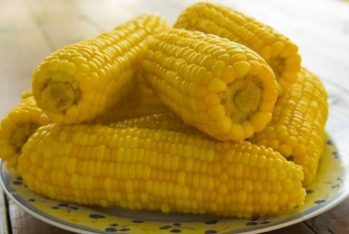 Xaricdən idxal olunan qarğıdalının kilosu - 25% BAHALAŞIB