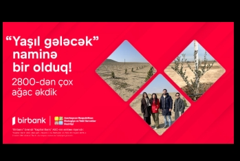 Birbank-lılar “Yaşıl gələcək” naminə 2800-dən çox - AĞAC ƏKDİLƏR