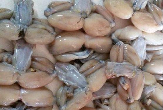 В Сальянском районе открылась ферма по выращиванию съедобных лягушек