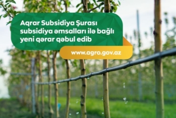 Aqrar Subsidiya Şurası subsidiya əmsalları ilə bağlı yeni qərar qəbul edib