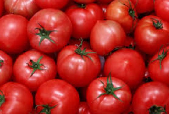 Pomidor yenə birinci oldu - İXRAC MƏHSULLARININ SİYAHISI