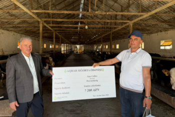 Aqrar Sığorta Fondu Xaçmaz və Xızıda fermerlərə sığorta ödənişləri edib