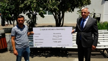 Göygöl və Samux fermerlərinə 20 min manata yaxın aqrar sığorta ödənişləri edilib | FED.az