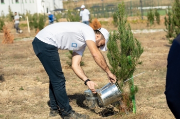“AzInTelecom” Ağdamda ağacəkmə aksiyası keçirib | FED.az