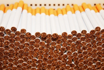 Azərbaycan tütün idxalına çəkdiyi xərci - 28% ARTIRIB