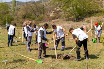 В Дашкесане реализован проект «Поддержка развития пчеловодства» | FED.az